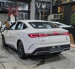 بي واي دي سيل 06 DM-i